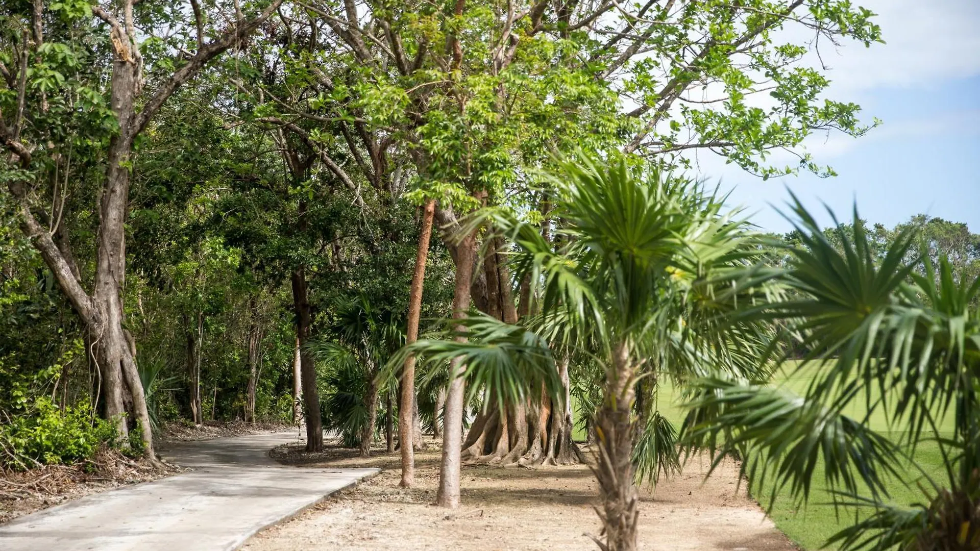 The Palm Luxury Villas Corasol By Lumina Playa del Carmen